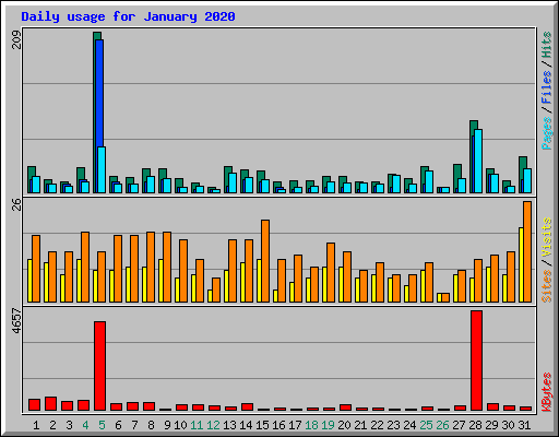 Daily usage for January 2020