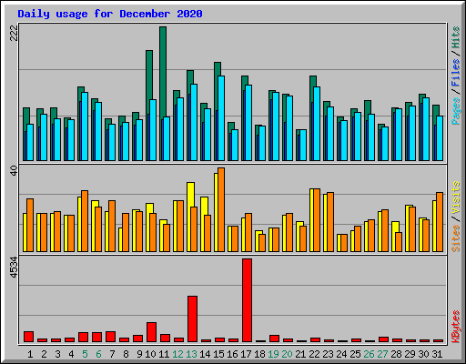 Daily usage for December 2020