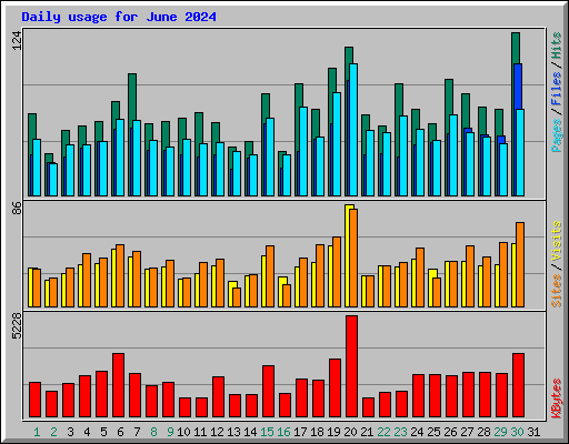 Daily usage for June 2024