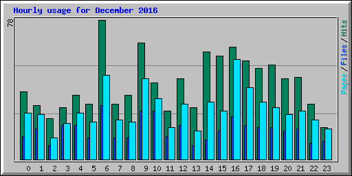 Hourly usage for December 2016