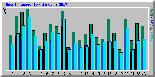 Hourly usage for January 2017