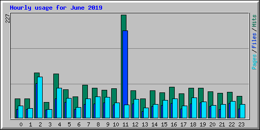 Hourly usage for June 2019