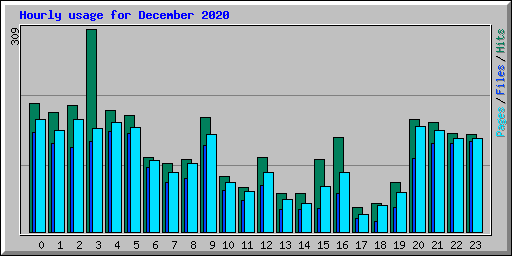 Hourly usage for December 2020