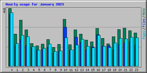 Hourly usage for January 2023