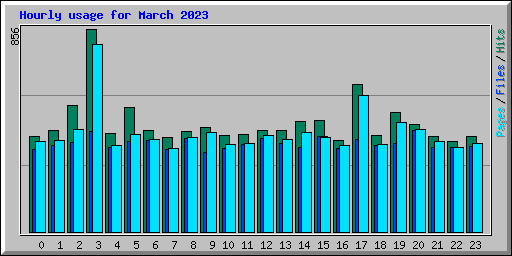 Hourly usage for March 2023