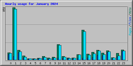 Hourly usage for January 2024