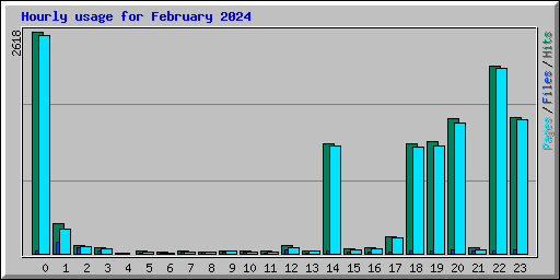 Hourly usage for February 2024