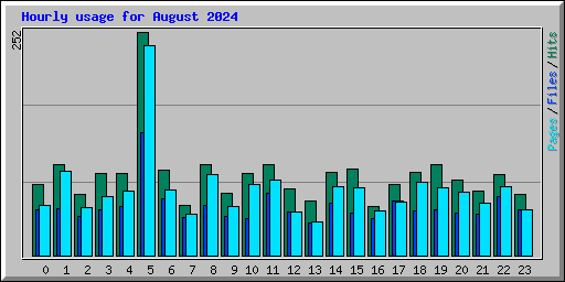 Hourly usage for August 2024