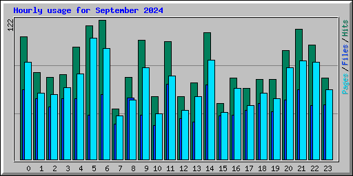 Hourly usage for September 2024